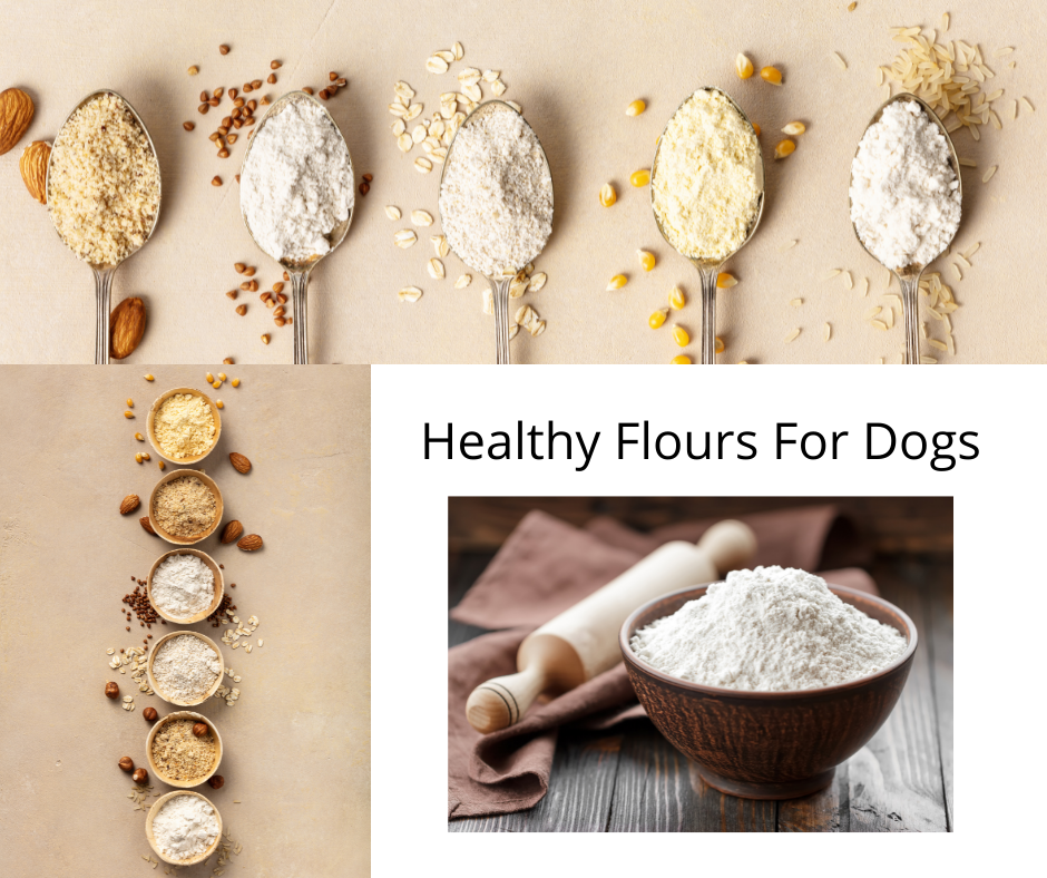 !healthy for dogs