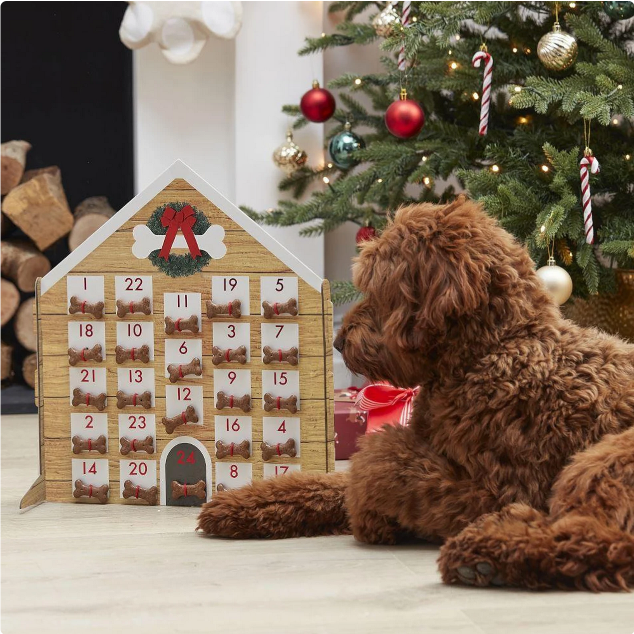 
Fill Your Own Dog Advent Calendar, Christmas Gift For Dogs, Santa Paws, Dog Kennel Treat Calendar, Christmas Advent Calendar For Dogs

