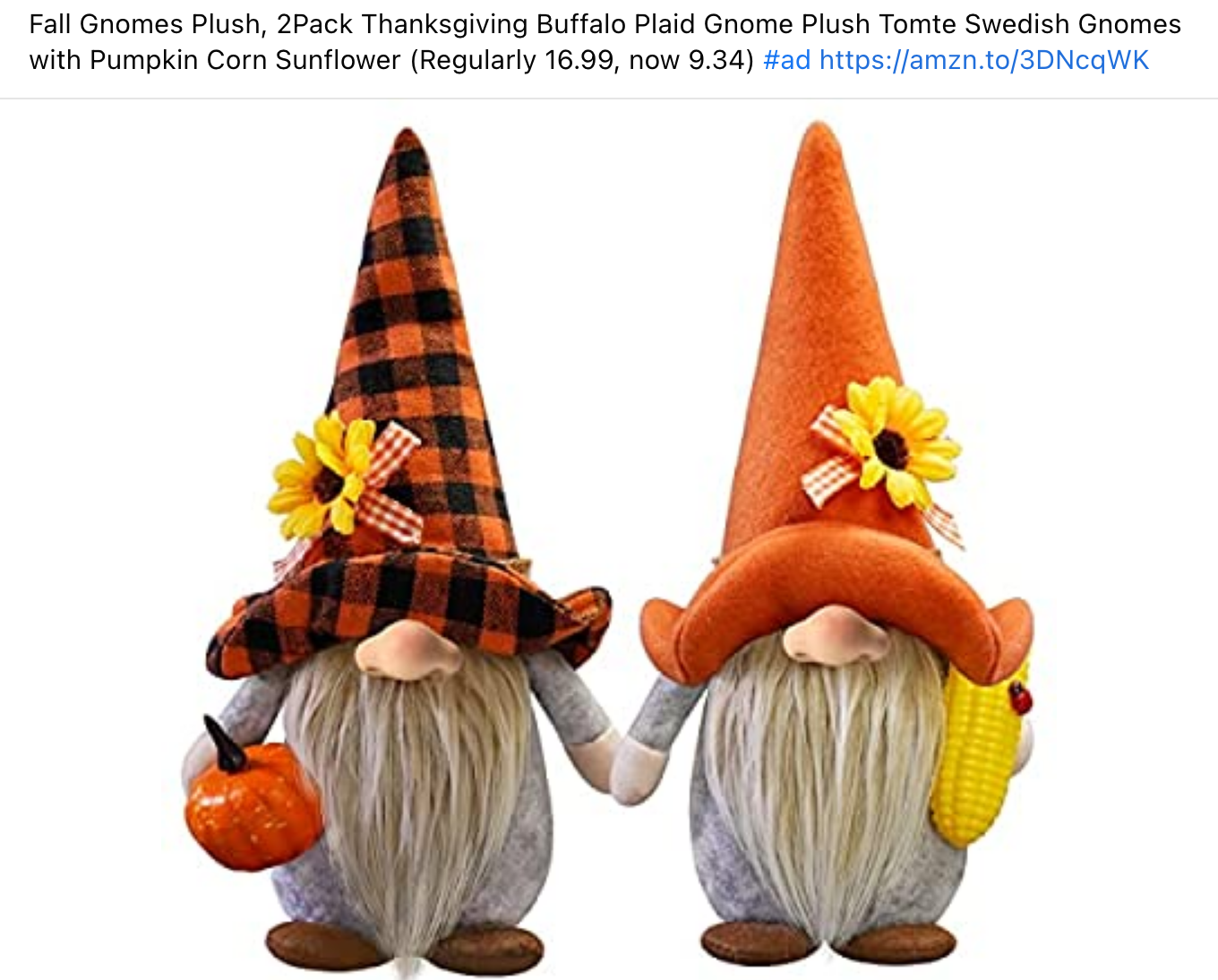 gnomesw