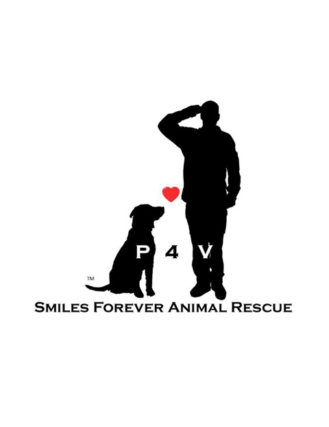 smilesp4v logo