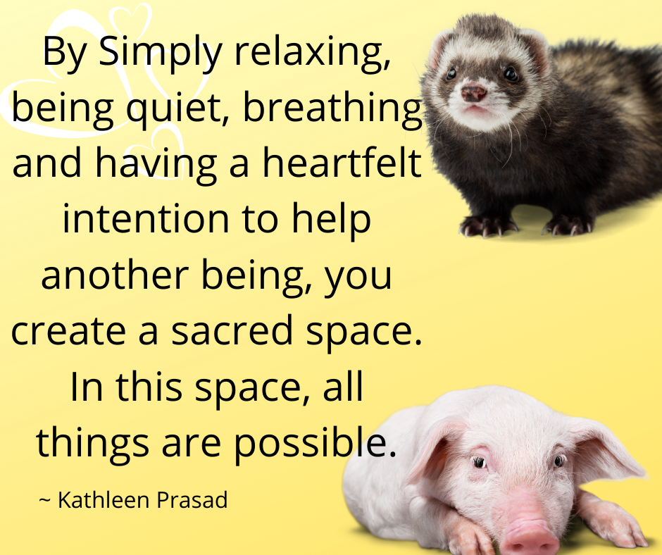 By Simply relaxing, being quiet, breathing and having a heartfelt intention to help another being, you create a sacred space. In this space, all things are possible.