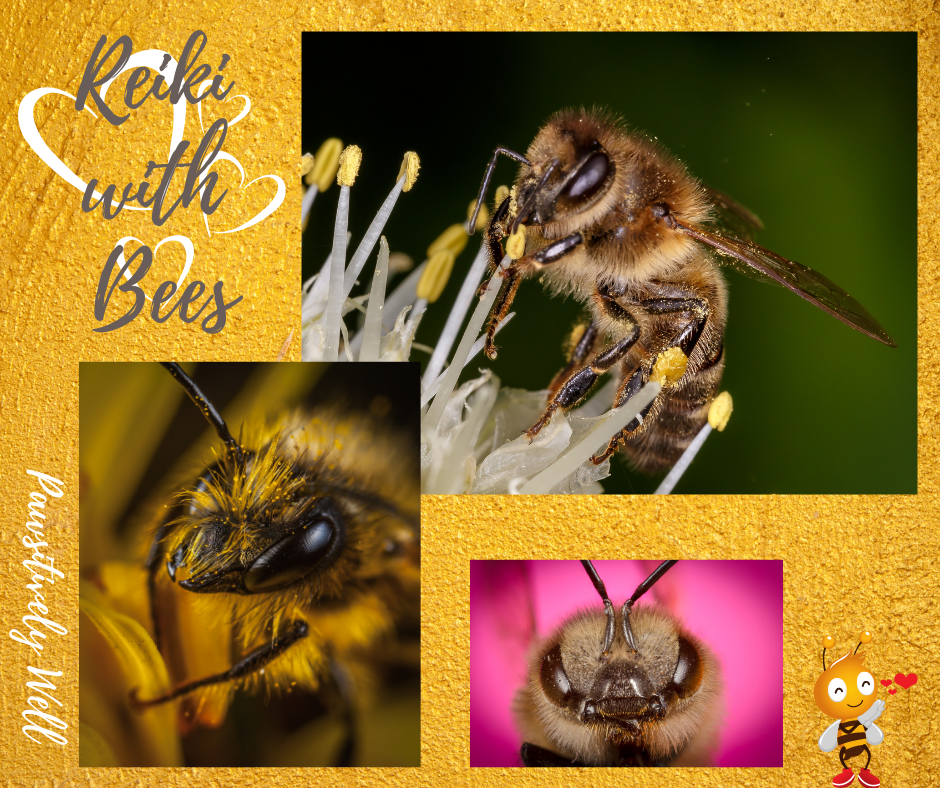 Reiki with Bees