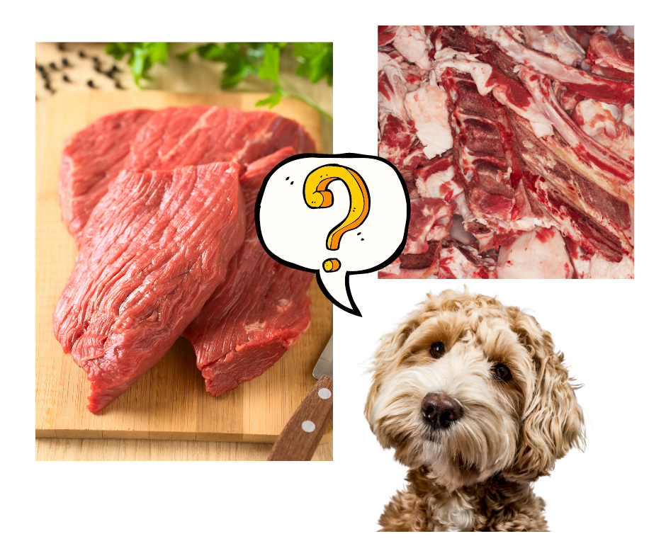 Understanding The Fat To Protein Ratio In Dog Food ~ Weekend Homesteader