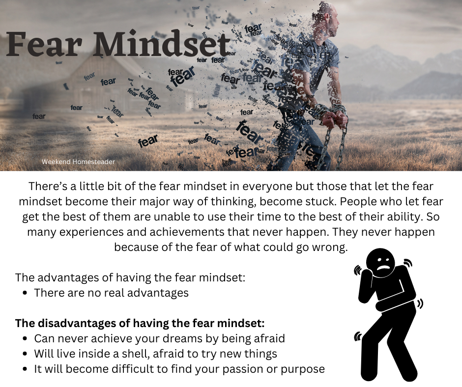 fear mindset 11.11.22