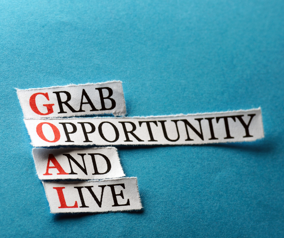 grab opportunity and live - goal