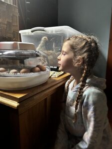 girl looking in incubator