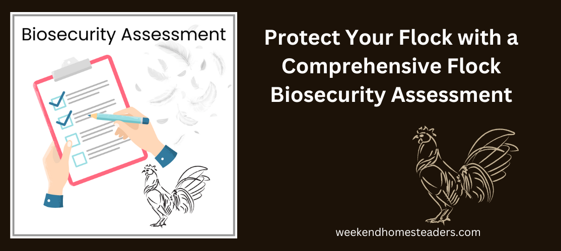 biosecurity assessment cover image