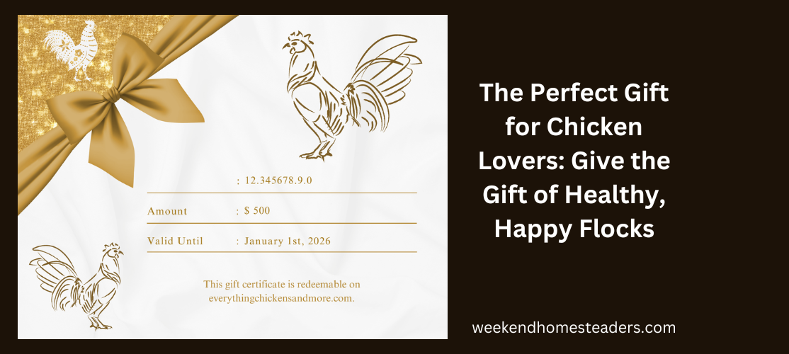 gift certificate image