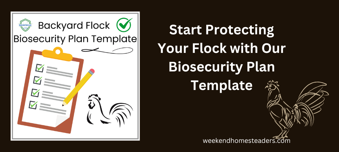 biosecurity plan template