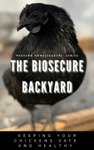 the biosecure backyard book cover with a chicken