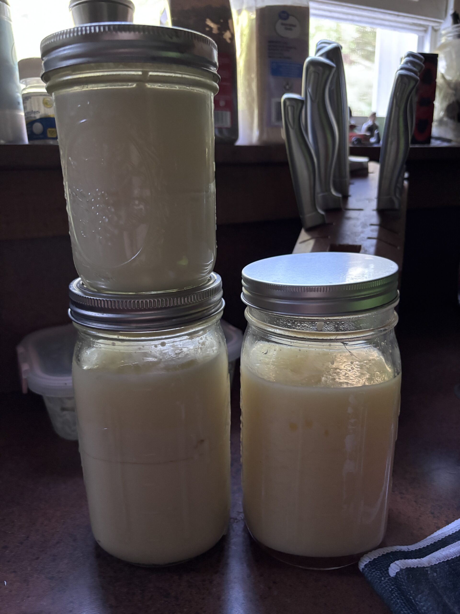 tallow