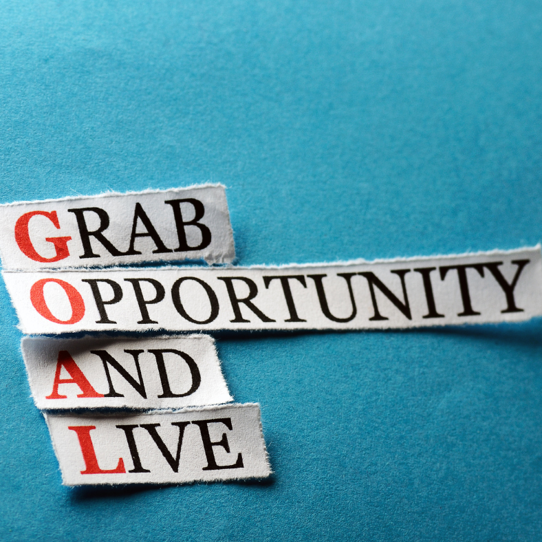 grab opportunity and live - goal