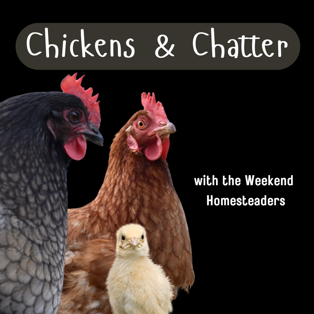 Chickens and Chatter Podcast