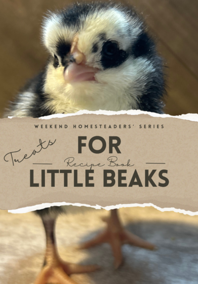 book cover of Treats for Little Beaks